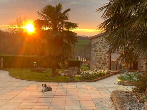 Bed & Breakfast La Basse Monniere