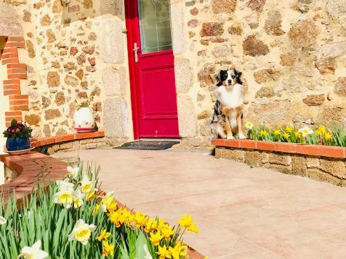 Bed & Breakfast La Basse Monniere