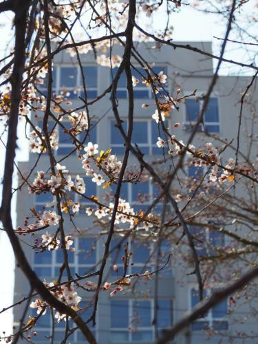 Hotel Lidia