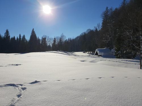 Apartamento Haus Bergblick