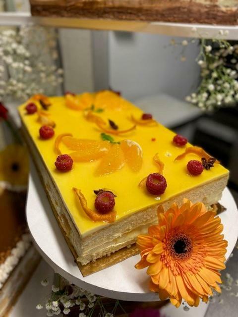 Hotel H�tel Le Grand Terre