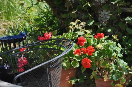 Bed & Breakfast Bienvenue Au Mas