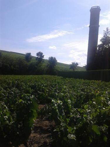 Hostal La Maison Des Vignes