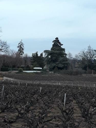 Hostal La Maison Des Vignes