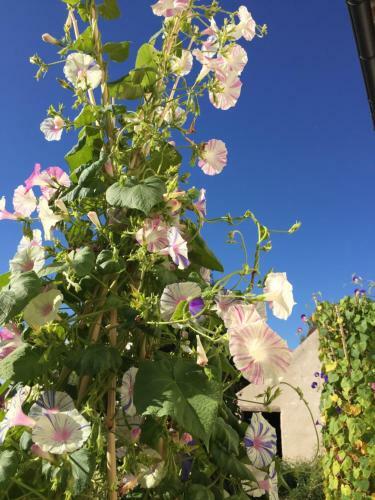 Apartamento Gite 1er Cru - La Loubertine