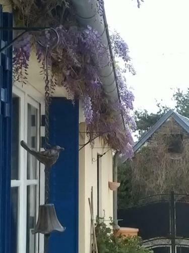 Bed & Breakfast Cottage Les Glycines