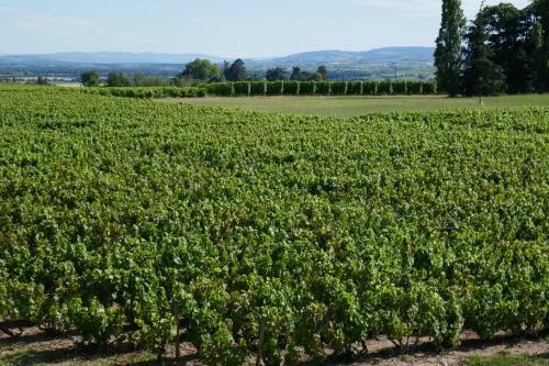 Bed & Breakfast Le Bel Air De Saint Jean