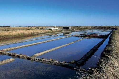 L'oasis Des Tamaris