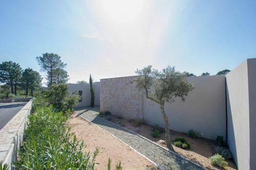Villa Alivu