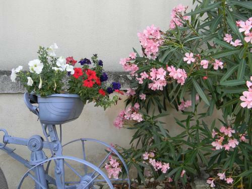 Bed & Breakfast Le Logis D'antigny