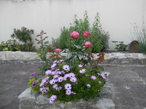 Bed & Breakfast Le Logis D'antigny