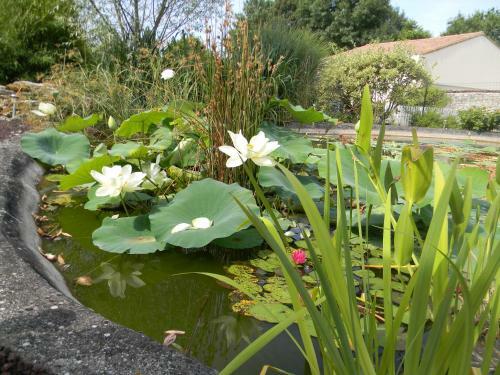 Bed & Breakfast Le Logis D'antigny