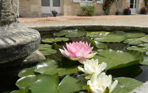 Bed & Breakfast Le Logis D'antigny