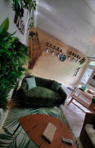 Physis Ambiance Nature