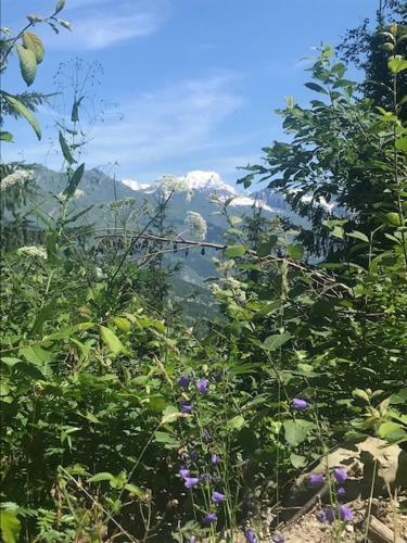 Apartamento Montchavin Les C�tes Vue Mont-blanc
