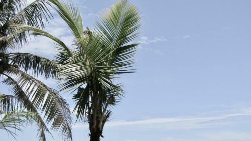Hostal Dikaloha Surfschool And Stay