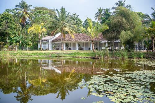 Bed & Breakfast Good Story Nirbana