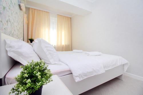 Apartamento ?????????? 200