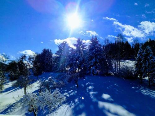 Gasthof-hotel Dilger