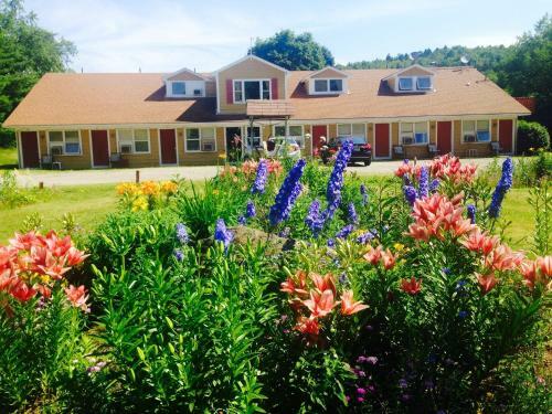 Vintage Motel Wilmington