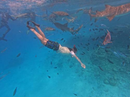 Hostal Beach Walk Villa Maldives