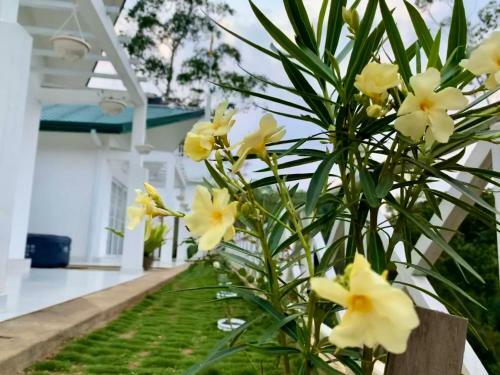 Villa Mount Edge Riverside