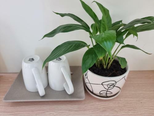 Apartamento Nh� Ph�a Tr�n ??i