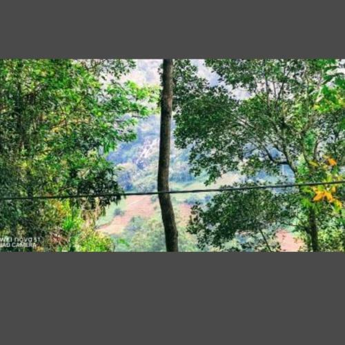 Bed & Breakfast Serandip Homesstay