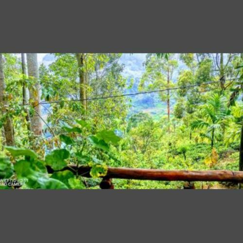 Bed & Breakfast Serandip Homesstay