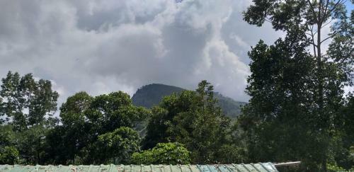 Bed & Breakfast Serandip Homesstay