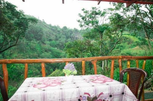 Bed & Breakfast Jungle Cottage Kitelella