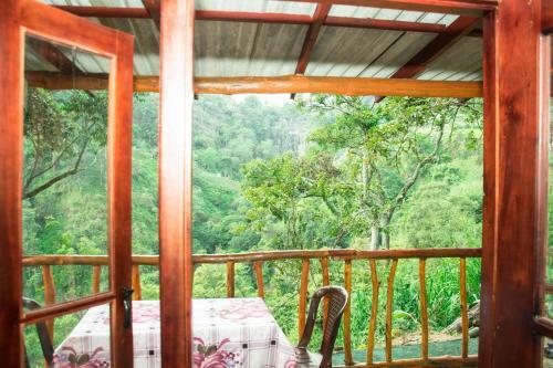 Bed & Breakfast Jungle Cottage Kitelella