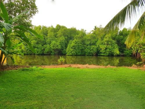 Coconut Garden River Villa