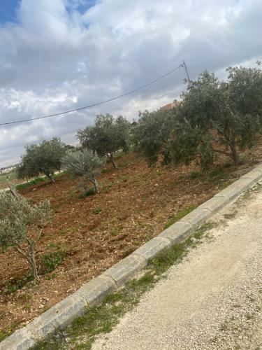 Modern Farm 0798815489