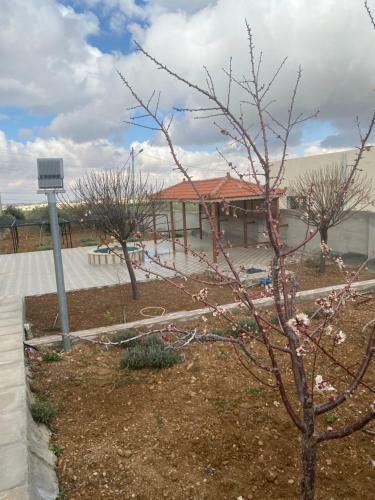 Modern Farm 0798815489