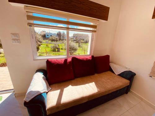 Apartamento Roman's Kingdom