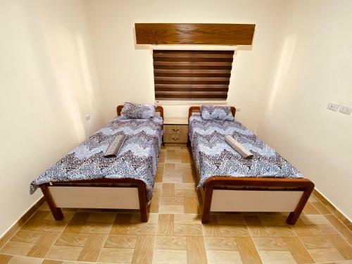 Apartamento Roman's Kingdom