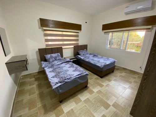 Apartamento Roman's Kingdom