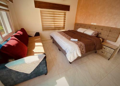 Apartamento Roman's Kingdom