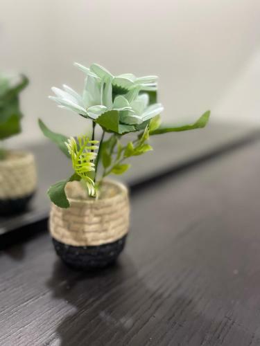 Apartamento Flower Alula