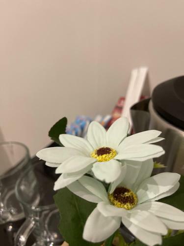 Apartamento Flower Alula