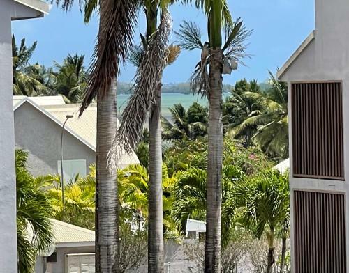Apartamento Jarry Entre Chien Et Loup