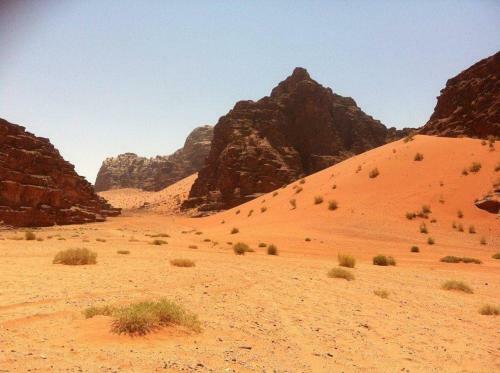 Tours And Bedouin Traditions