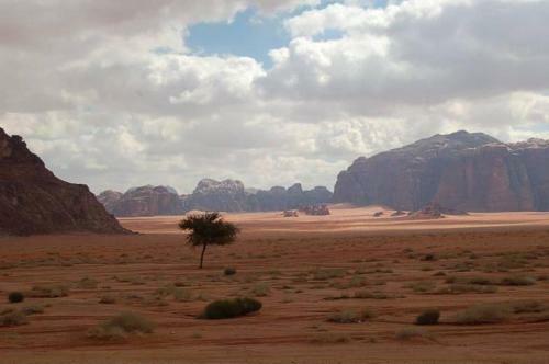 Tours And Bedouin Traditions