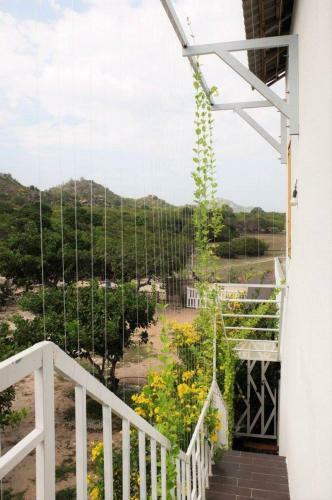 Villa ??o Hoa V�ng Cam Ranh - Venue Travel
