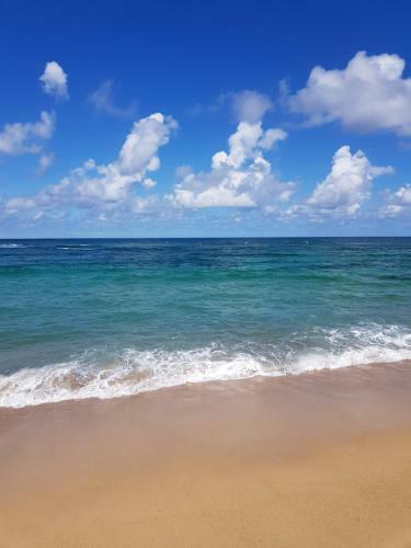 Apartamento Studio De La Plage (studio 2 Hibiscus)