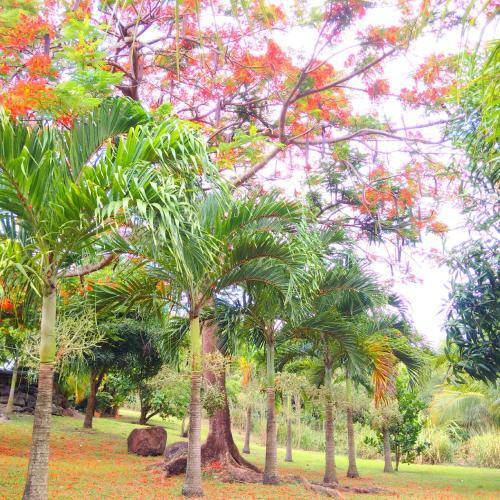 Nature Paradise, Villa & Cottage