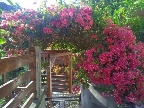 Apartamento R�sidence Les Fleurs Des Aliz�s