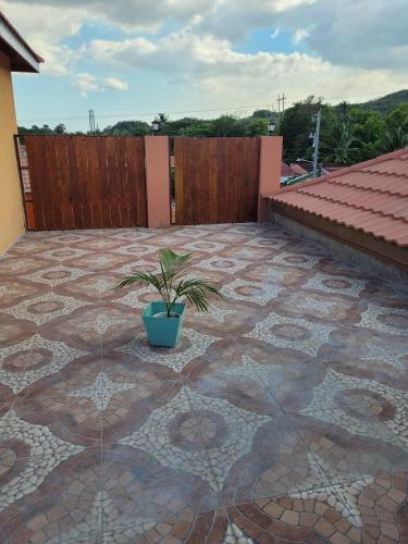 Apartamento Royal Vybez Vacation Homes