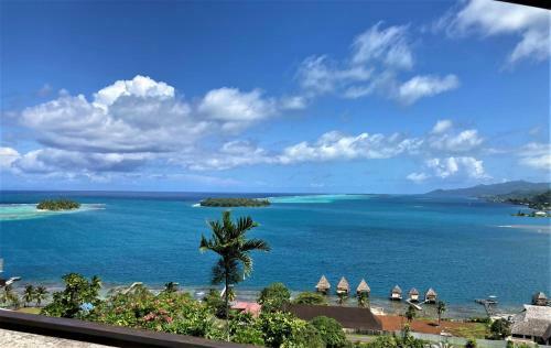 Raiatea - Bungalow Apetahi 1